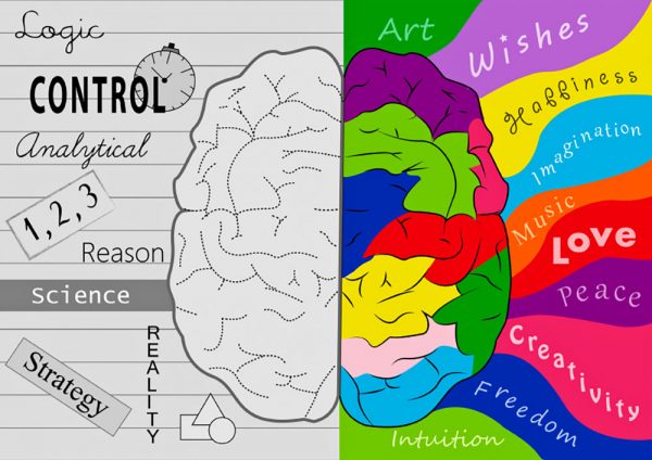Right Left Brain illustration